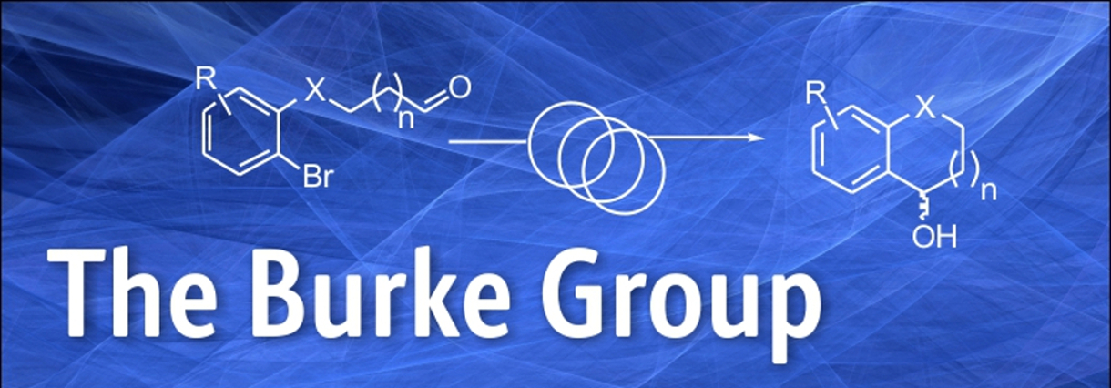 The Burke Group